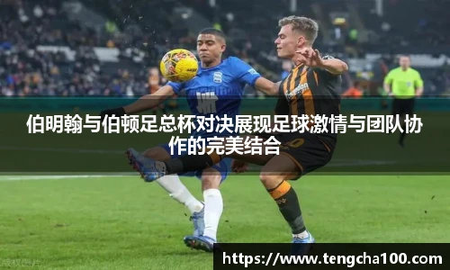 星空入口免费网站